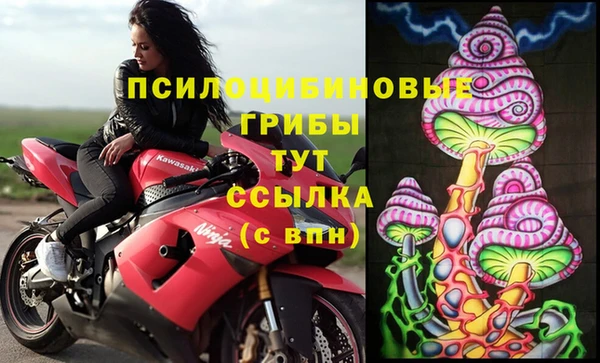 MESCALINE Горно-Алтайск