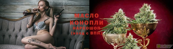 дмт Гусев
