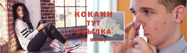 тгк Горнозаводск