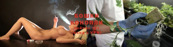 тгк Горнозаводск