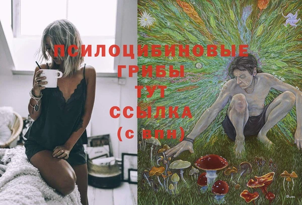 тгк Горнозаводск