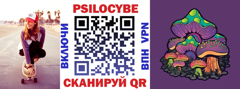 Галлюциногенные грибы Psilocybine cubensis  Купить  Бабушкин 
